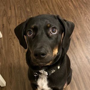 Meet your Posher, Christopher